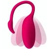 flamingo 2